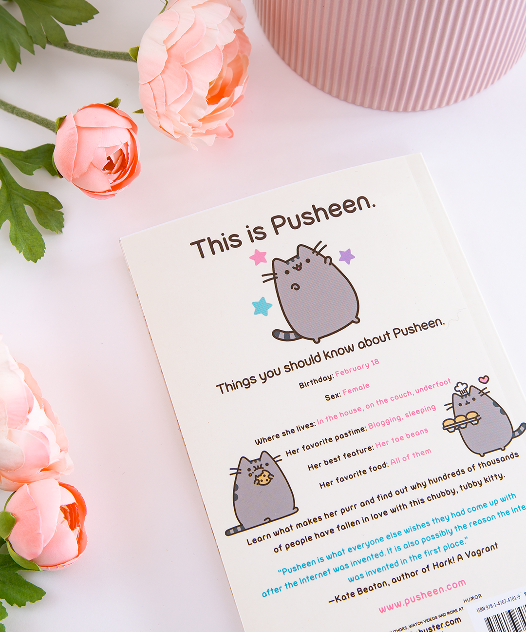 I Am Pusheen the Cat Paperback - US 3769 - Image 3