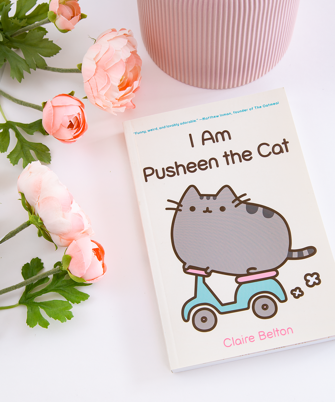 I Am Pusheen the Cat Paperback - Image 5