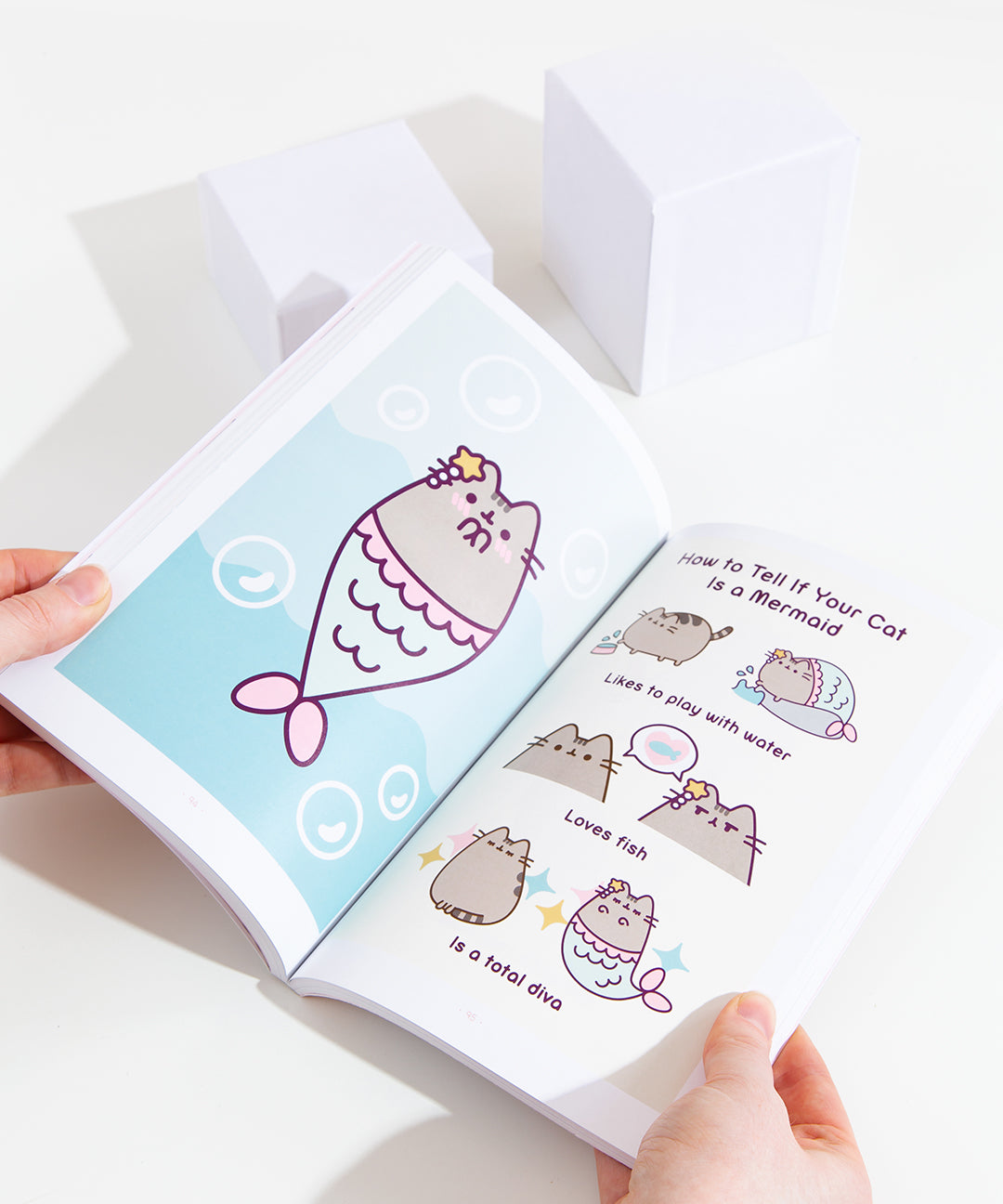 The Many Lives of Pusheen the Cat - Image 2